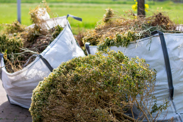 Best Electronics and E-Waste Disposal  in Bloomingdale, IL